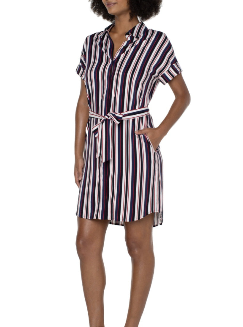 Belted Shirt Dress